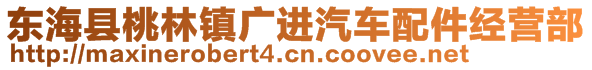 東海縣桃林鎮(zhèn)廣進(jìn)汽車配件經(jīng)營(yíng)部