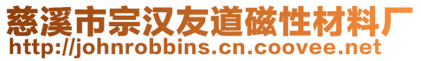 慈溪市宗漢友道磁性材料廠