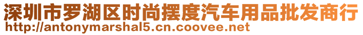 深圳市羅湖區(qū)時(shí)尚擺度汽車用品批發(fā)商行