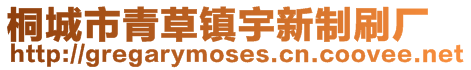 桐城市青草鎮(zhèn)宇新制刷廠