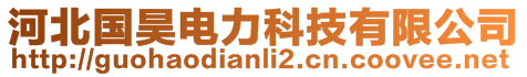 河北國(guó)昊電力科技有限公司