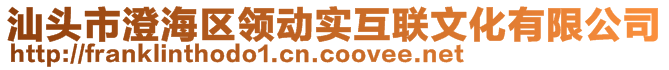 汕頭市澄海區(qū)領動實互聯(lián)文化有限公司