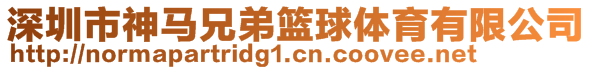 深圳市神馬兄弟籃球體育有限公司