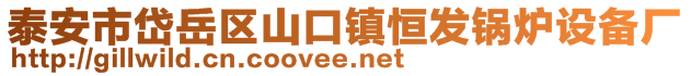 泰安市岱岳區(qū)山口鎮(zhèn)恒發(fā)鍋爐設(shè)備廠