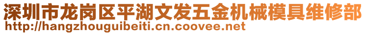 深圳市龙岗区平湖文发五金机械模具维修部