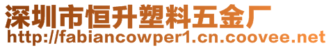 深圳市恒升塑料五金廠