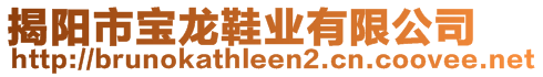 揭陽市寶龍鞋業(yè)有限公司
