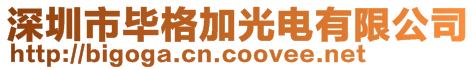 深圳市畢格加光電有限公司