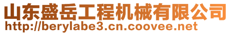 山東盛岳工程機械有限公司