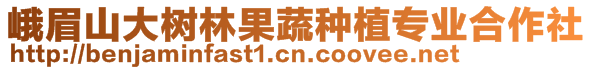 峨眉山大樹林果蔬種植專業合作社