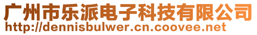 广州市乐派电子科技有限公司