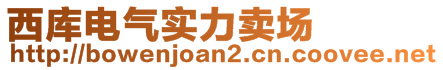 西庫電氣實力賣場