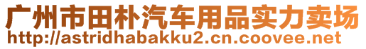 廣州市田樸汽車用品實力賣場