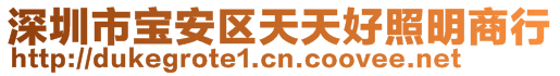 深圳市寶安區(qū)天天好照明商行