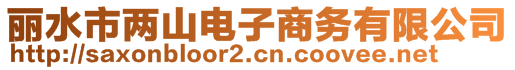 麗水市兩山電子商務(wù)有限公司