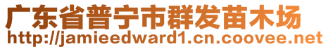 廣東省普寧市群發(fā)苗木場(chǎng)