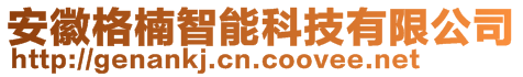 安徽格楠智能科技有限公司