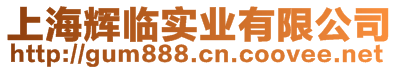 上海輝臨實(shí)業(yè)有限公司