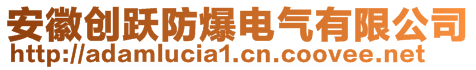 安徽創(chuàng)躍防爆電氣有限公司