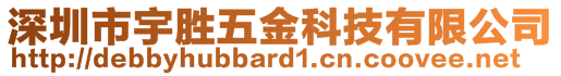 深圳市宇勝五金科技有限公司