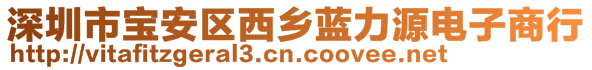 深圳市寶安區(qū)西鄉(xiāng)藍力源電子商行