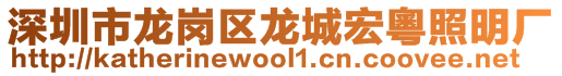 深圳市龍崗區(qū)龍城宏粵照明廠