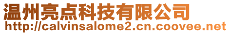 溫州亮點科技有限公司