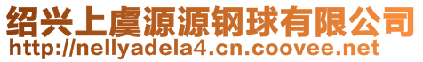 紹興上虞源源鋼球有限公司