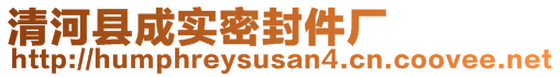 清河县成实密封件厂