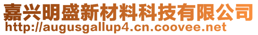 嘉興明盛新材料科技有限公司