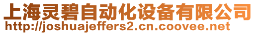 上海靈碧自動化設備有限公司