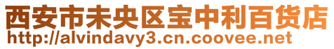 西安市未央?yún)^(qū)寶中利百貨店