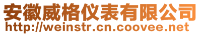 安徽威格儀表有限公司