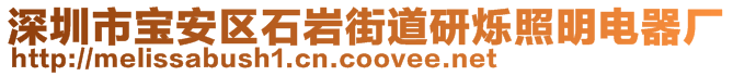 深圳市宝安区石岩街道研烁照明电器厂