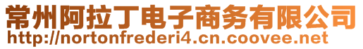 常州阿拉丁電子商務(wù)有限公司