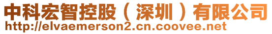 中科宏智控股（深圳）有限公司