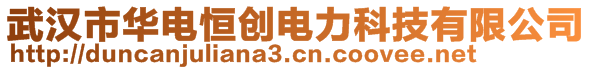 武漢市華電恒創(chuàng)電力科技有限公司