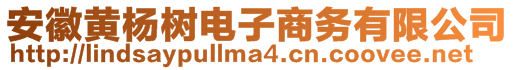 安徽黃楊樹電子商務(wù)有限公司