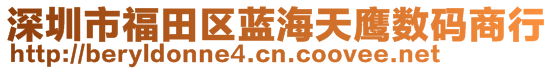 深圳市福田區(qū)藍(lán)海天鷹數(shù)碼商行