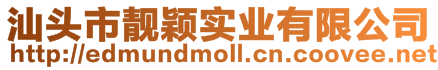 汕頭市靚穎實(shí)業(yè)有限公司