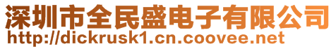 深圳市全民盛電子有限公司