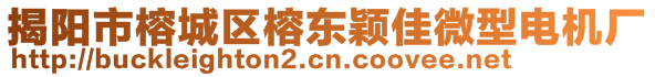 揭阳市榕城区榕东颖佳微型电机厂