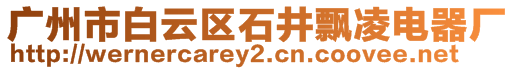 廣州市白云區(qū)石井飄凌電器廠