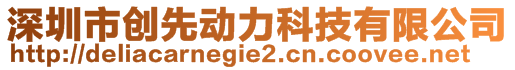 深圳市創(chuàng)先動力科技有限公司