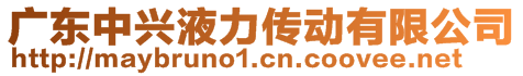 廣東中興液力傳動有限公司