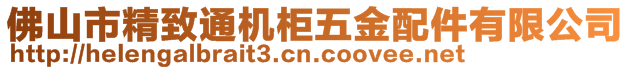 佛山市精致通機(jī)柜五金配件有限公司