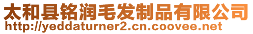 太和縣銘潤(rùn)毛發(fā)制品有限公司