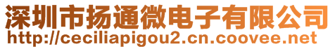 深圳市揚(yáng)通微電子有限公司