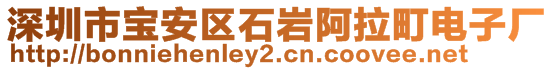 深圳市寶安區(qū)石巖阿拉町電子廠