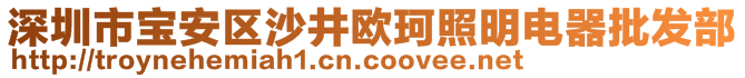 深圳市寶安區(qū)沙井歐珂照明電器批發(fā)部